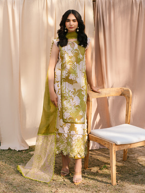 IVY-12 | 3 PC Lawn